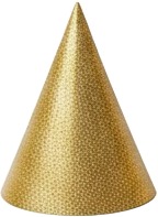 gold party hats.jpg